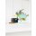 WESCO® Mini Grandy, mint